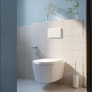 Клавиша смыва белая (фото)