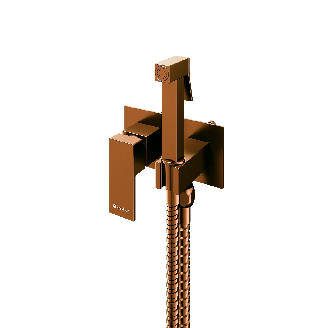 Смеситель с гигиеническим душем FHS02S1RB