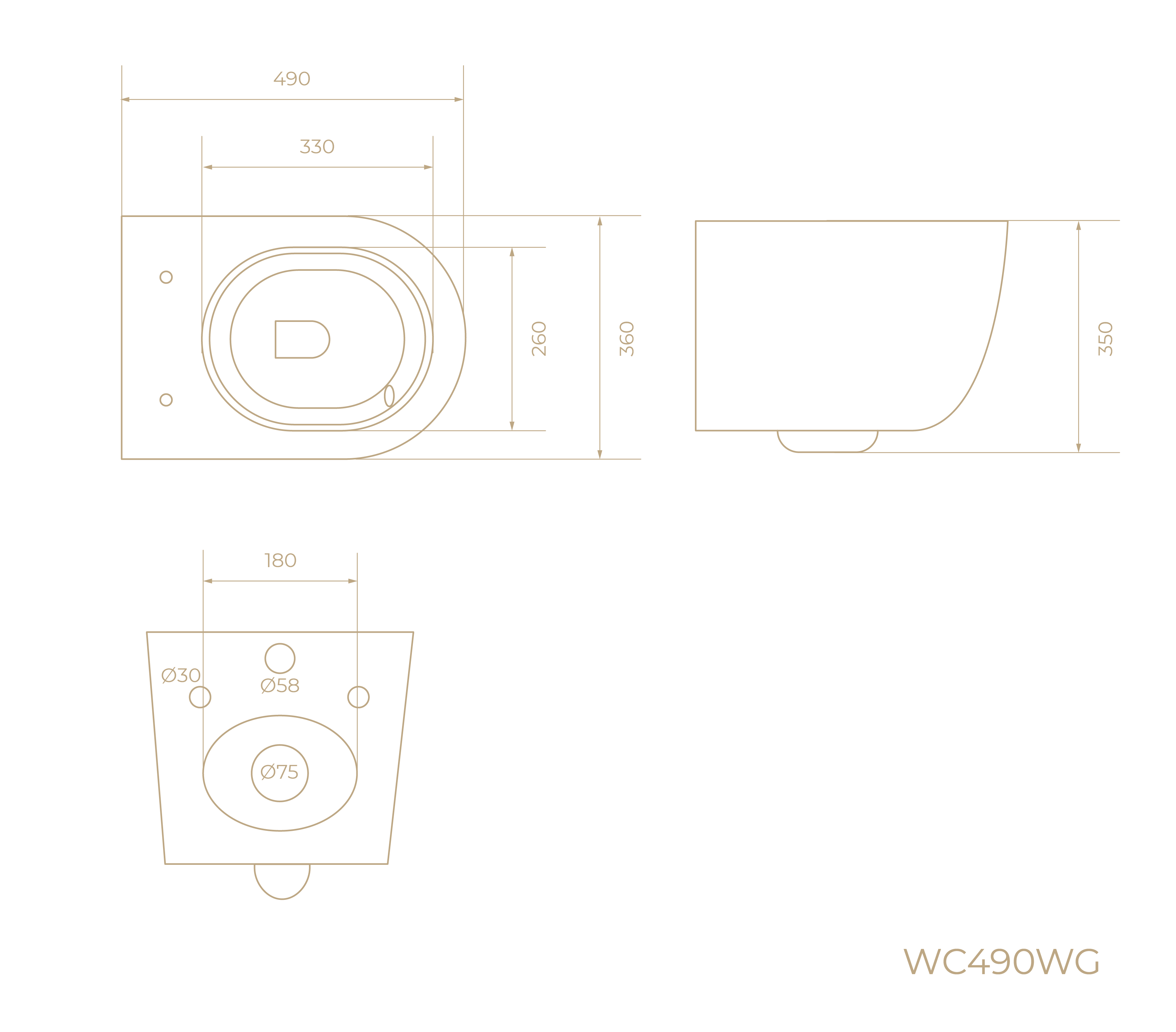 Подвесной унитаз WC490WG