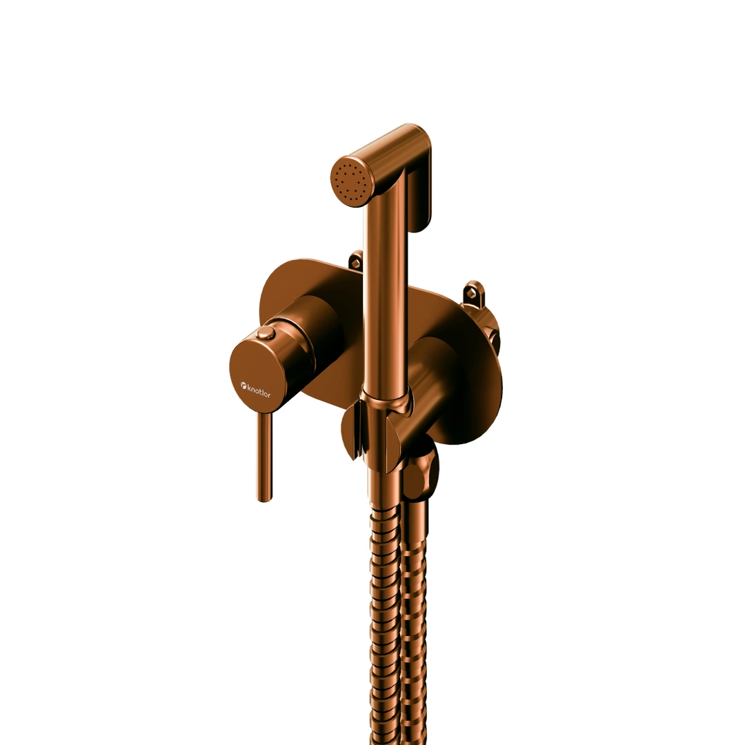 Смеситель с гигиеническим душем FHS01S1RB