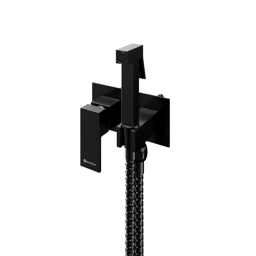 Смеситель с гигиеническим душем FHS02S1BL