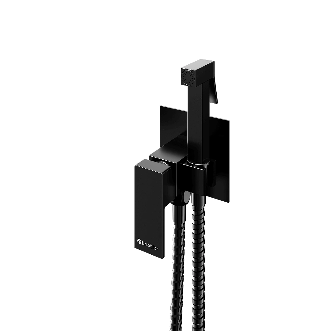 Смеситель с гигиеническим душем FHS02C1BL